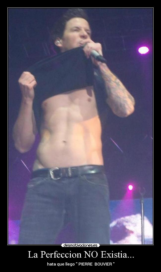 La Perfeccion NO Existia... - hata que llego PIERRE BOUVIER