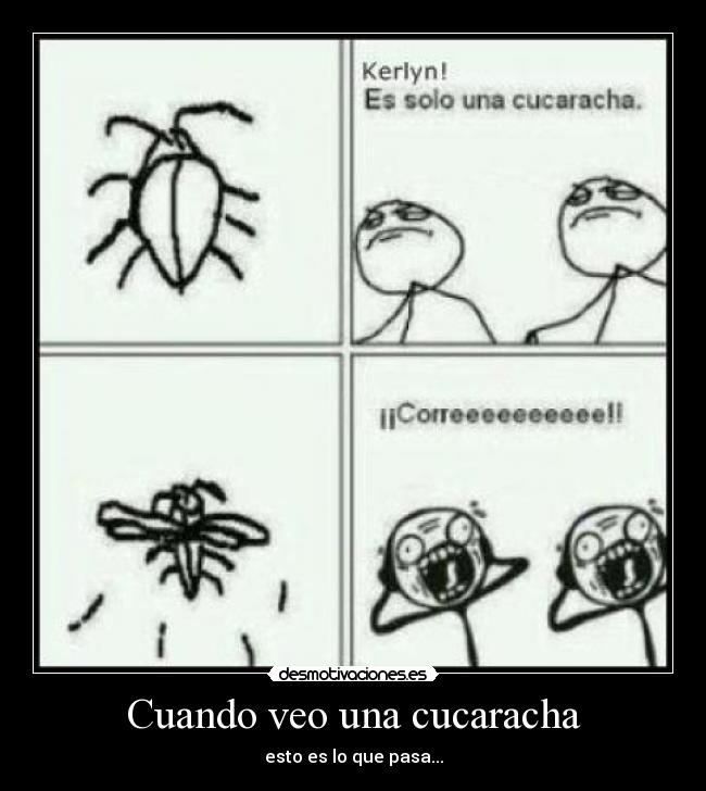 Cuando veo una cucaracha -