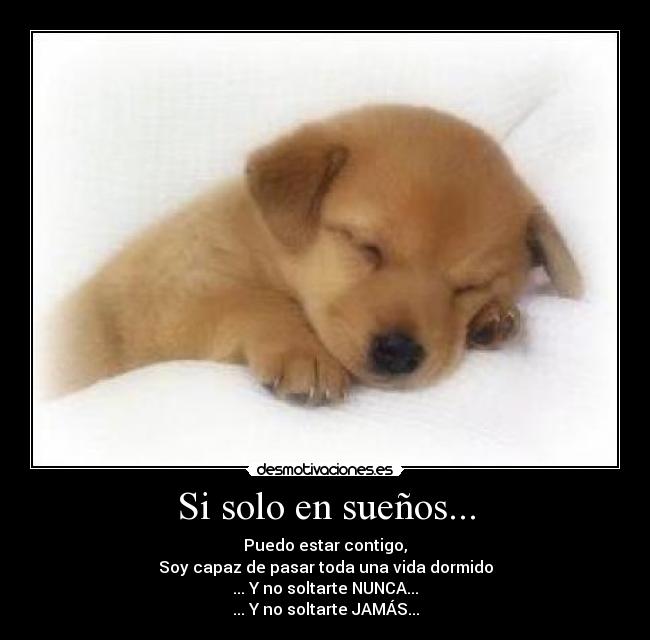 Si solo en sueños... -