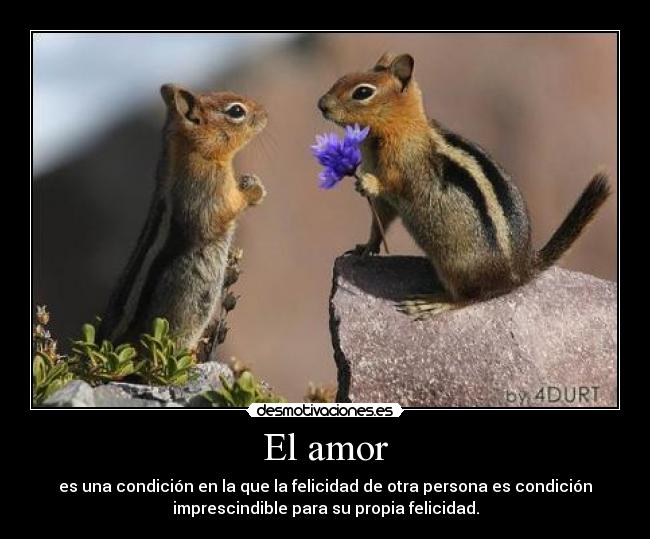 El amor - es una condición en la que la felicidad de otra persona es condición
imprescindible para su propia felicidad.