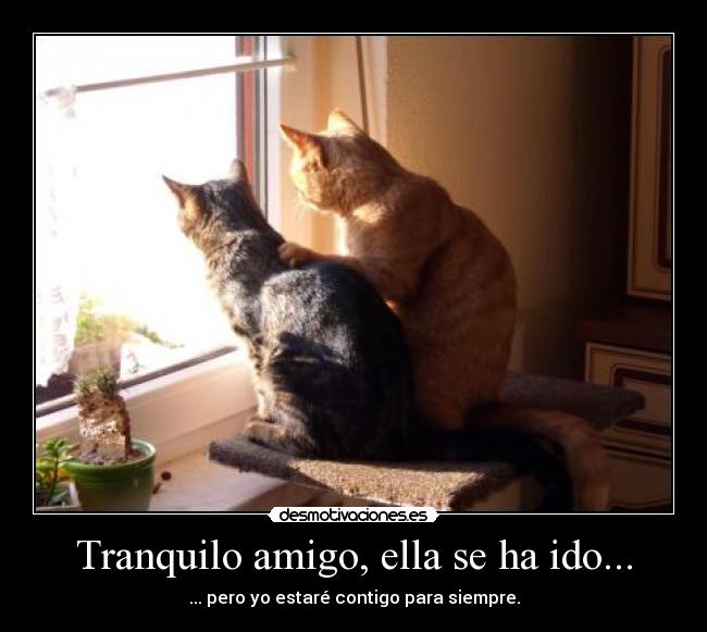 Tranquilo amigo, ella se ha ido... - ... pero yo estaré contigo para siempre.