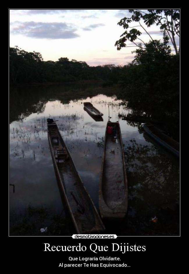 Recuerdo Que Dijistes - Que Lograría Olvidarte.
Al parecer Te Has Equivocado...