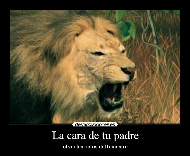 La cara de tu padre - al ver las notas del trimestre