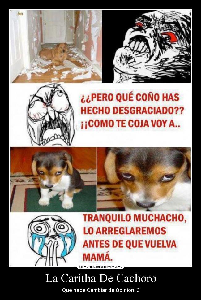 La Caritha De Cachoro -