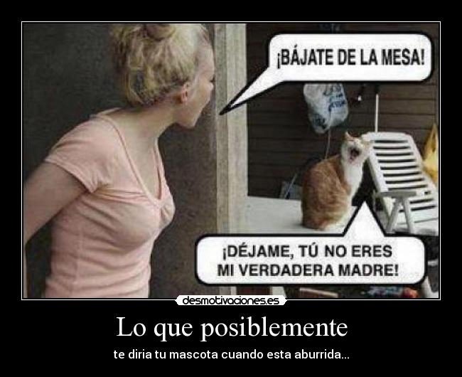 Lo que posiblemente - te diria tu mascota cuando esta aburrida...