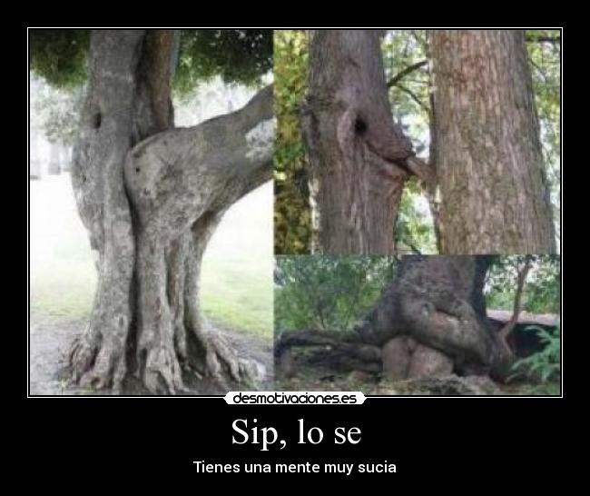 Sip, lo se - Tienes una mente muy sucia