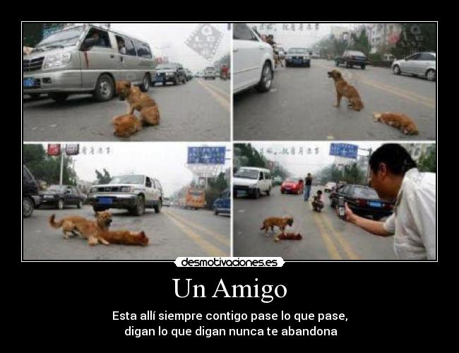 Un Amigo - Esta allí siempre contigo pase lo que pase,
digan lo que digan nunca te abandona