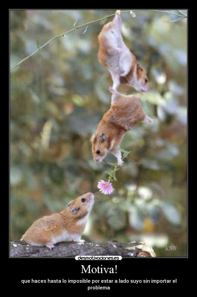 Motiva! - que haces hasta lo imposible por estar a lado suyo sin importar el problema