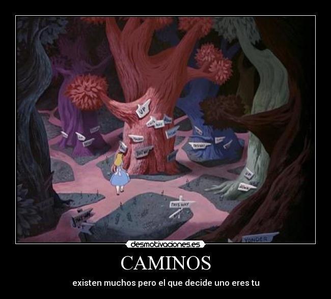 CAMINOS -
