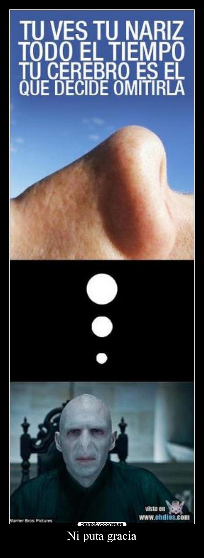 Ni puta gracia -