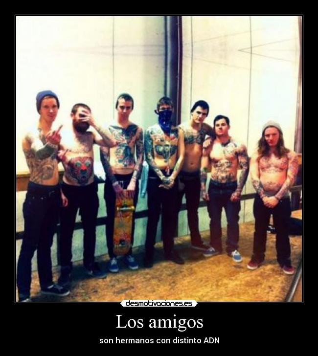 Los amigos - son hermanos con distinto ADN