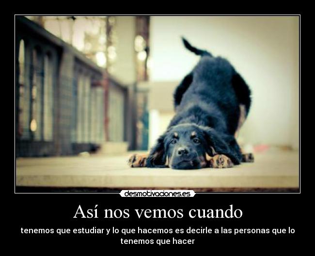 Así nos vemos cuando - tenemos que estudiar y lo que hacemos es decirle a las personas que lo
tenemos que hacer