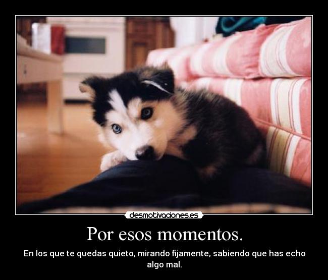 Por esos momentos. -