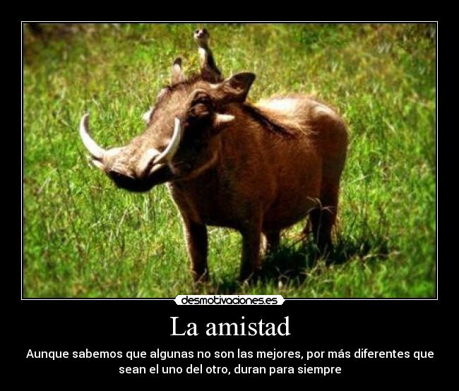 La amistad - Aunque sabemos que algunas no son las mejores, por más diferentes que
sean el uno del otro, duran para siempre