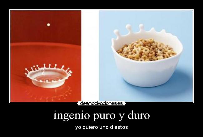 ingenio puro y duro - yo quiero uno d estos