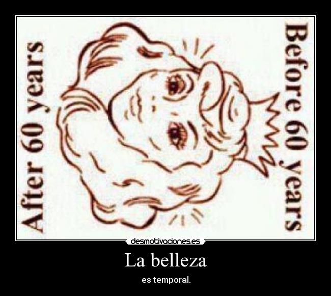 La belleza - es temporal.