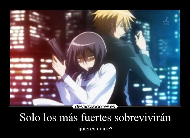 carteles anime kaichou maid sama misaki ayusawa usui takumi perlithakawai desmotivaciones