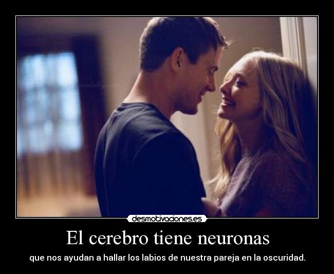 El cerebro tiene neuronas - que nos ayudan a hallar los labios de nuestra pareja en la oscuridad.