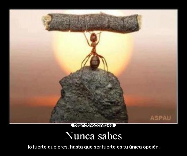 Nunca sabes - lo fuerte que eres, hasta que ser fuerte es tu única opción.