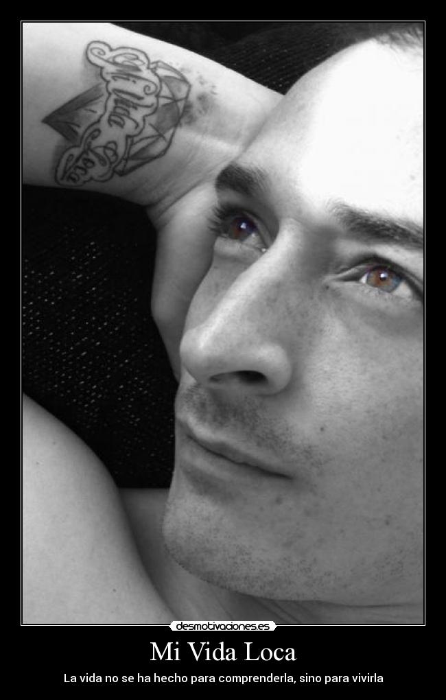 carteles vida vida loca desmotivaciones