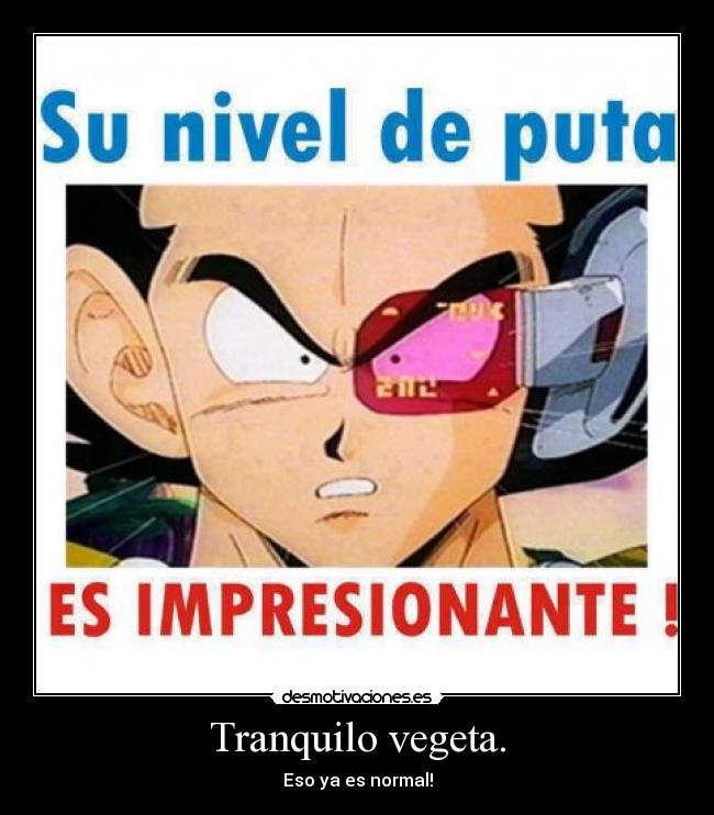 Tranquilo vegeta. - Eso ya es normal!