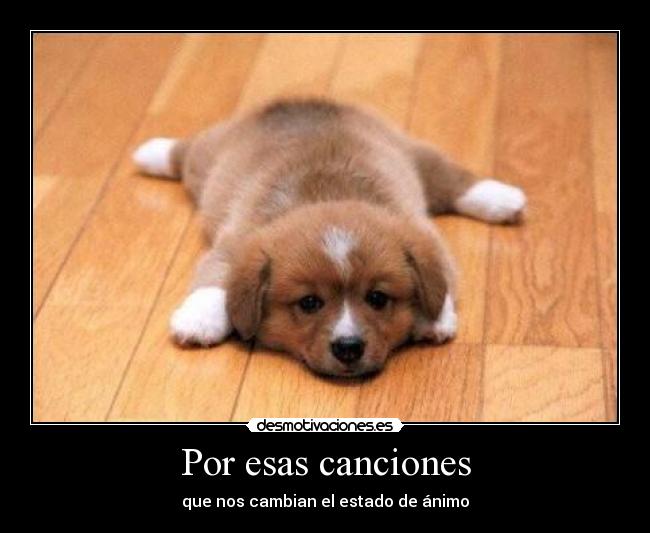 Por esas canciones - 