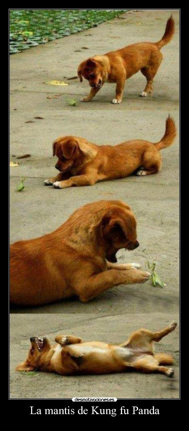 La mantis de Kung fu Panda -