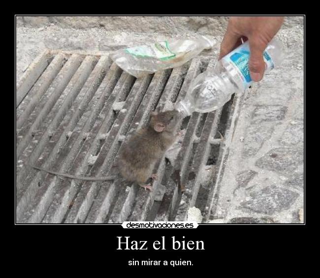 Haz el bien - sin mirar a quien.
