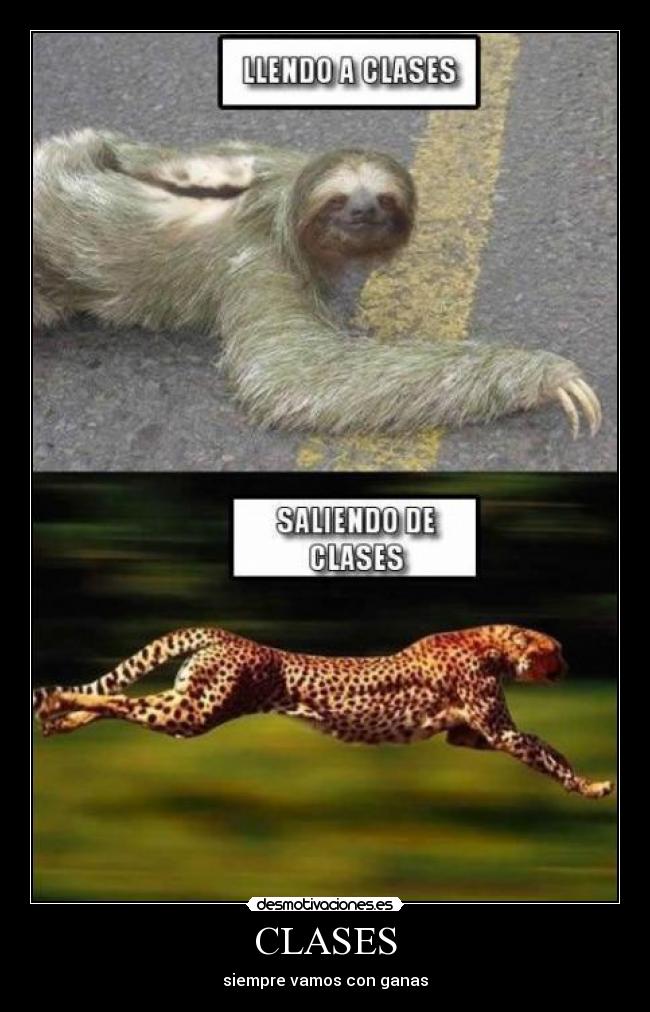 CLASES -