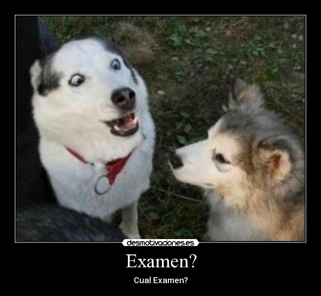 Examen? -