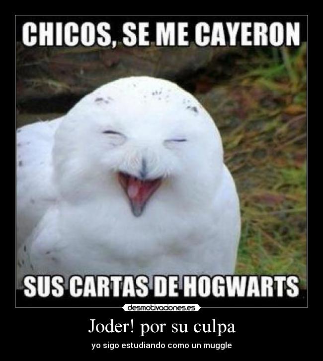 carteles hogwarts harry potter desmotivaciones