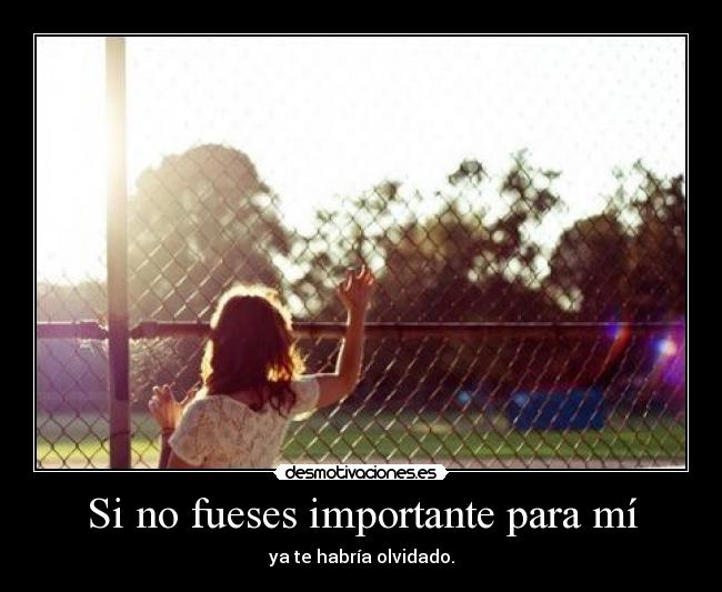 Si no fueses importante para mí -