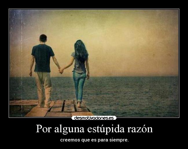 Por alguna estúpida razón -