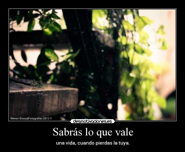 Sabrás lo que vale - una vida, cuando pierdas la tuya.