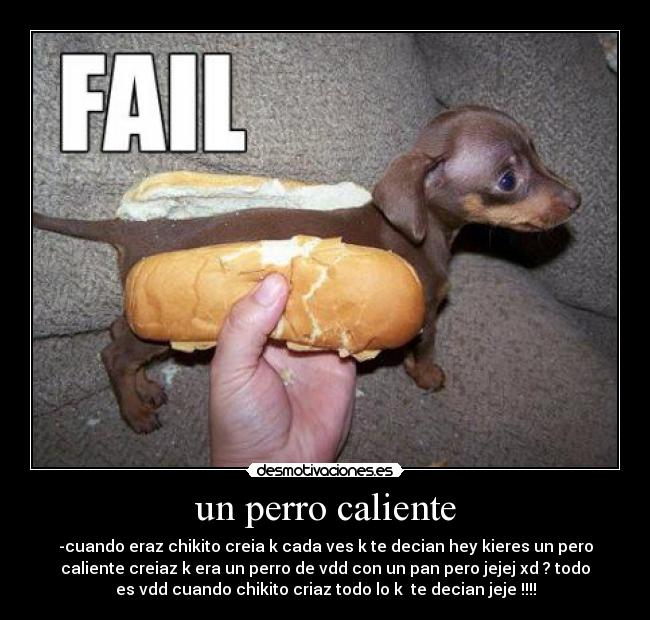 un perro caliente - -cuando eraz chikito creia k cada ves k te decian hey kieres un pero
caliente creiaz k era un perro de vdd con un pan pero jejej xd ? todo
es vdd cuando chikito criaz todo lo k  te decian jeje !!!!