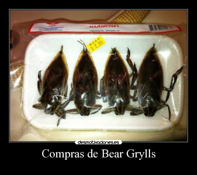 Compras de Bear Grylls - 