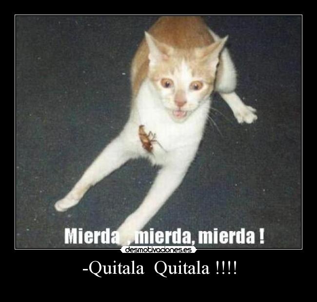 -Quitala Quitala !!!! -