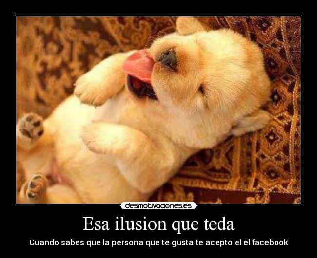 Esa ilusion que teda - Cuando sabes que la persona que te gusta te acepto el el facebook