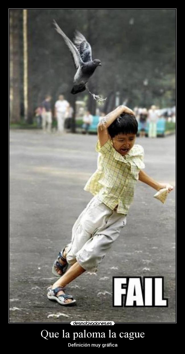 Que la paloma la cague - Definición muy gráfica