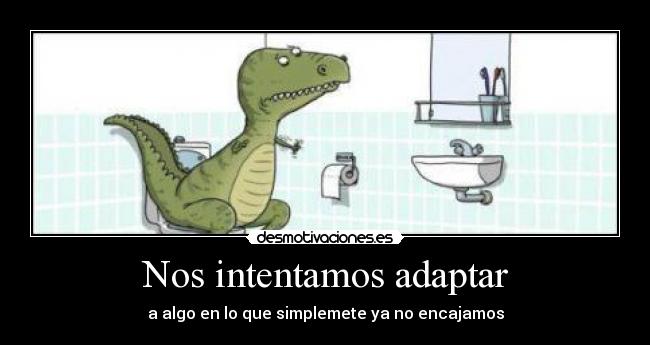 Nos intentamos adaptar - 
