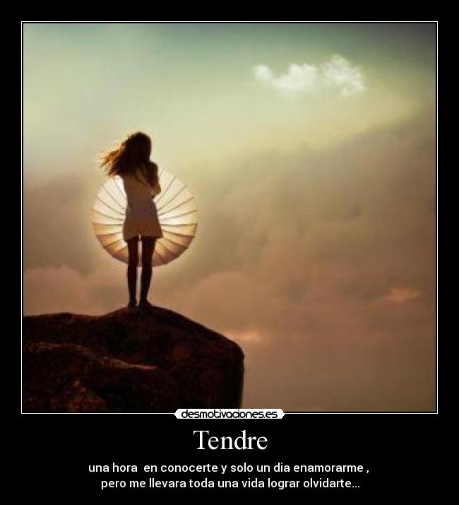 Tendre - 