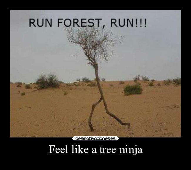 Feel like a tree ninja -