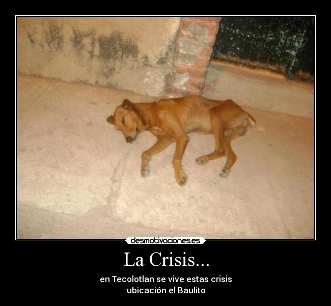 carteles carlos ezequiel flores gonzalez desmotivaciones