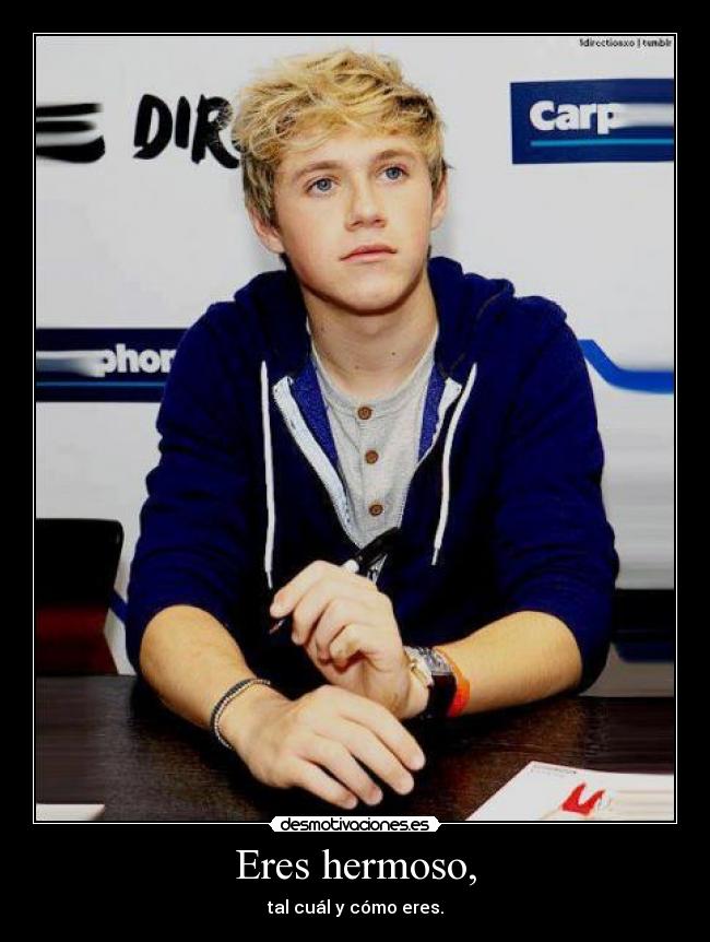 carteles nialleshermoso desmotivaciones