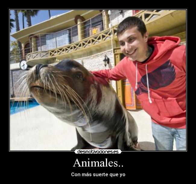 Animales.. - Con más suerte que yo