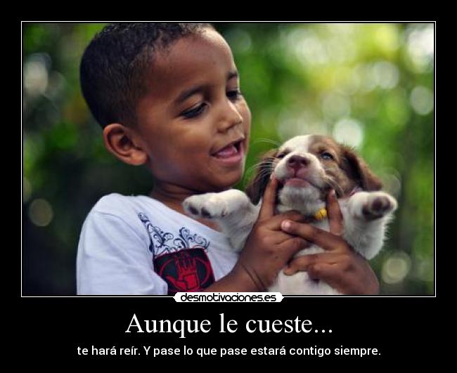 carteles perros desmotivaciones