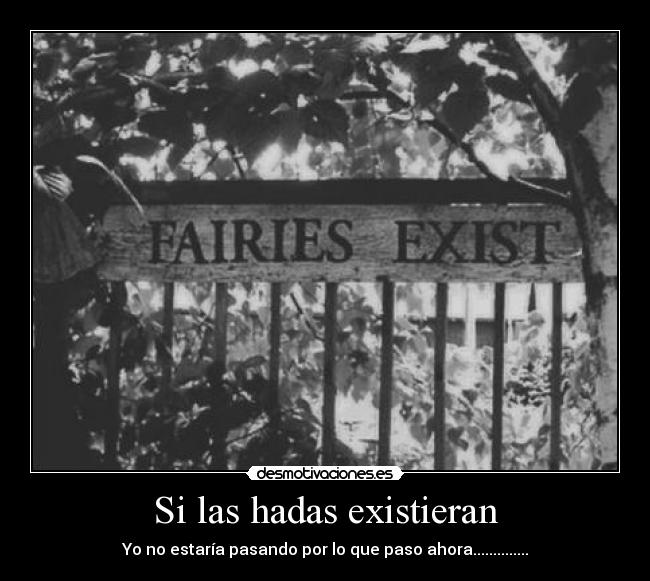 Si las hadas existieran - 