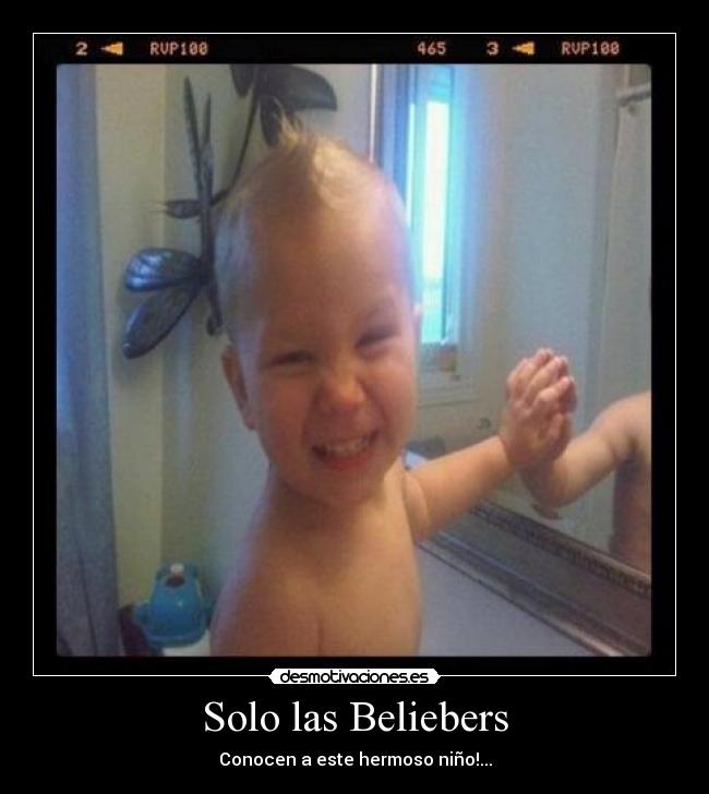 carteles beliebers desmotivaciones