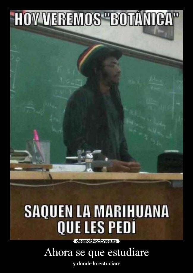 Ahora se que estudiare -