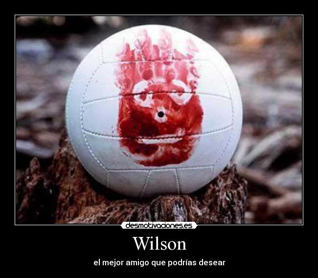 Wilson - el mejor amigo que podrías desear